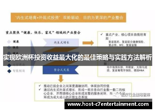 实现欧洲杯投资收益最大化的最佳策略与实践方法解析