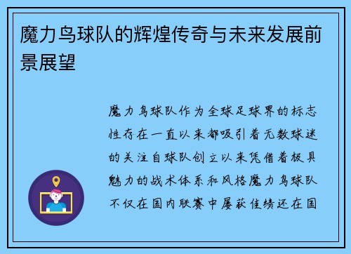魔力鸟球队的辉煌传奇与未来发展前景展望